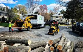 Best Mulching Services  in Ucon, ID