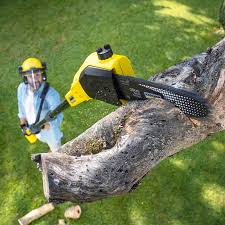 Best Emergency Tree Removal  in Ucon, ID