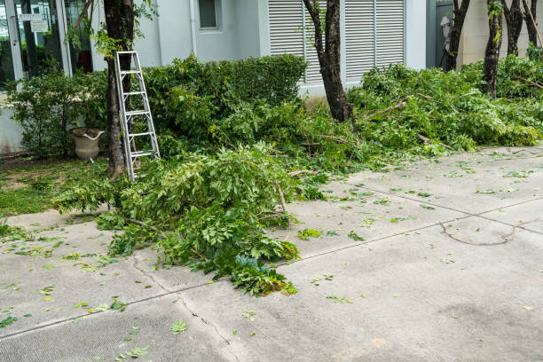 Best Lawn Irrigation Installation and Maintenance  in Ucon, ID