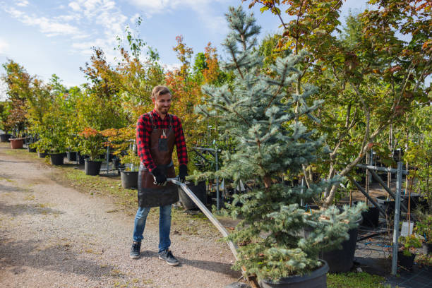 Best Firewood Processing and Delivery  in Ucon, ID