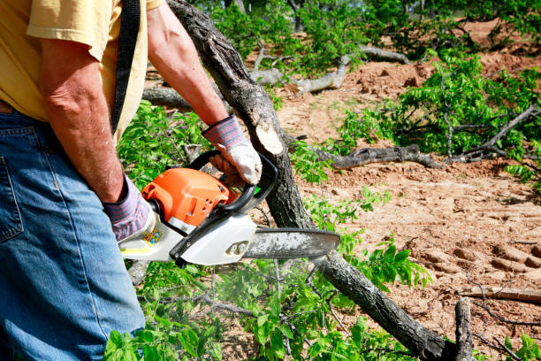 Best Lawn Grading and Leveling  in Ucon, ID